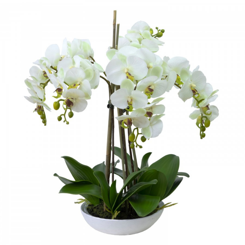 Artificial Faux Orchids Potted Flowers Faux Trees | Hamptons Home