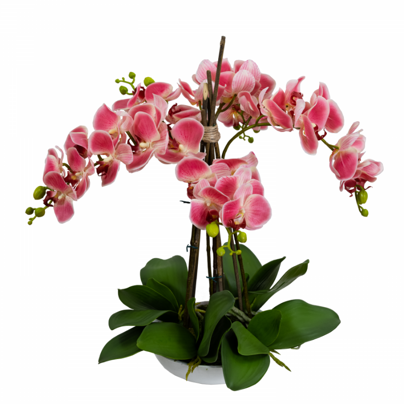 Real Touch Pink Phalaenopsis Orchids in Bowl 50 cm H | Hamptons Home | Hamptons Home