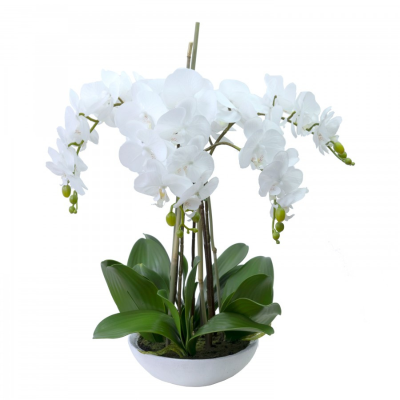 Real Touch White Phalaenopsis Orchids in Bowl 50 cm H | Hamptons Home | Hamptons Home