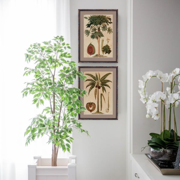 Hamptons Home Pawpaw Palm Small Framed Artwork | Hamptons Home