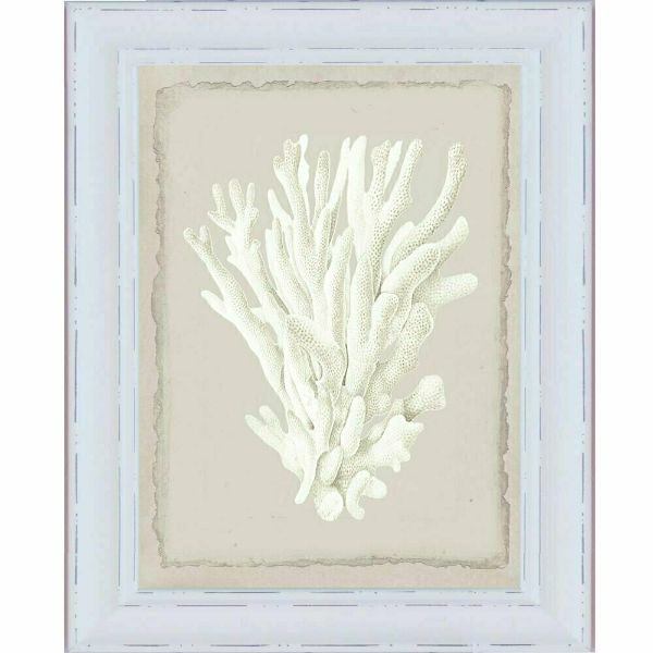 White Coral White Framed Wall Art | Hamptons Home | Hamptons Home