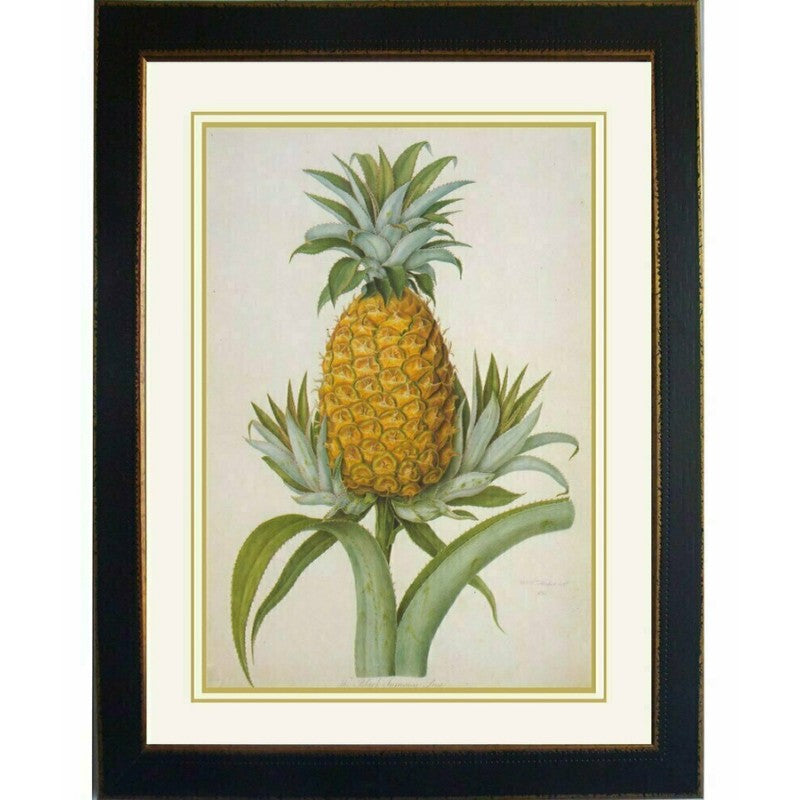 Hooker Pineapple Black Jamaican Framed Wall Art | Hamptons Home | Hamptons Home
