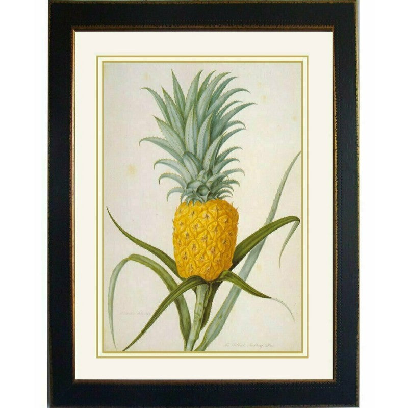 Hooker Pineapple Wellbeck Framed Wall Art | Hamptons Home | Hamptons Home