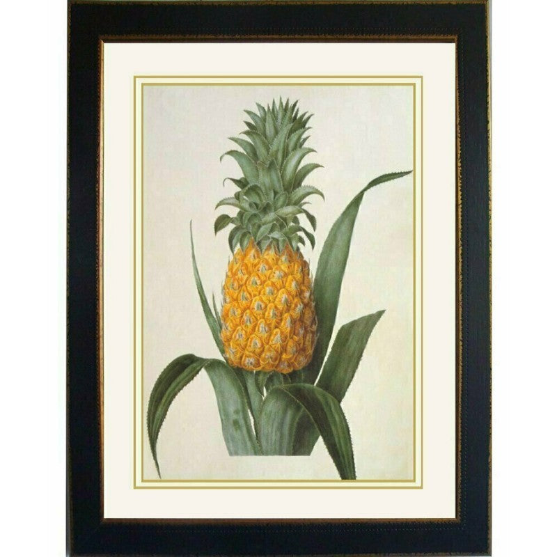 Hooker Pineapple Queen Framed Wall Art | Hamptons Home | Hamptons Home