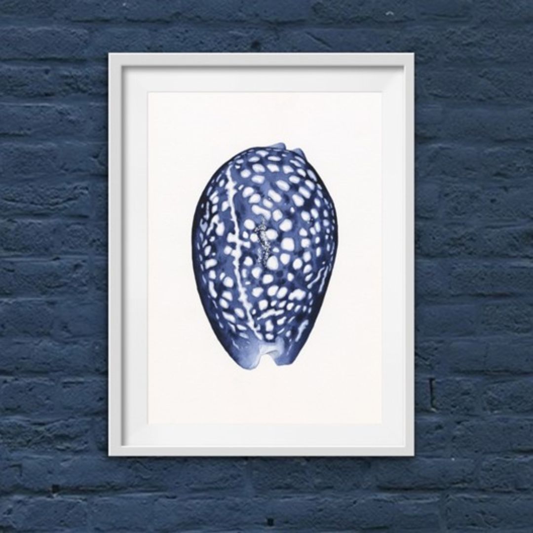 Paua Shell Blue and White Art Print | Hamptons Home | Hamptons Home