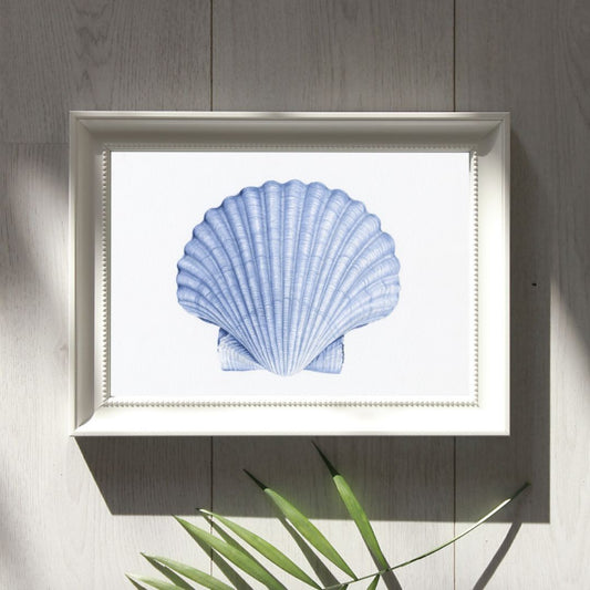 Scallop Shell Blue and White Art Print | Hamptons Home | Hamptons Home