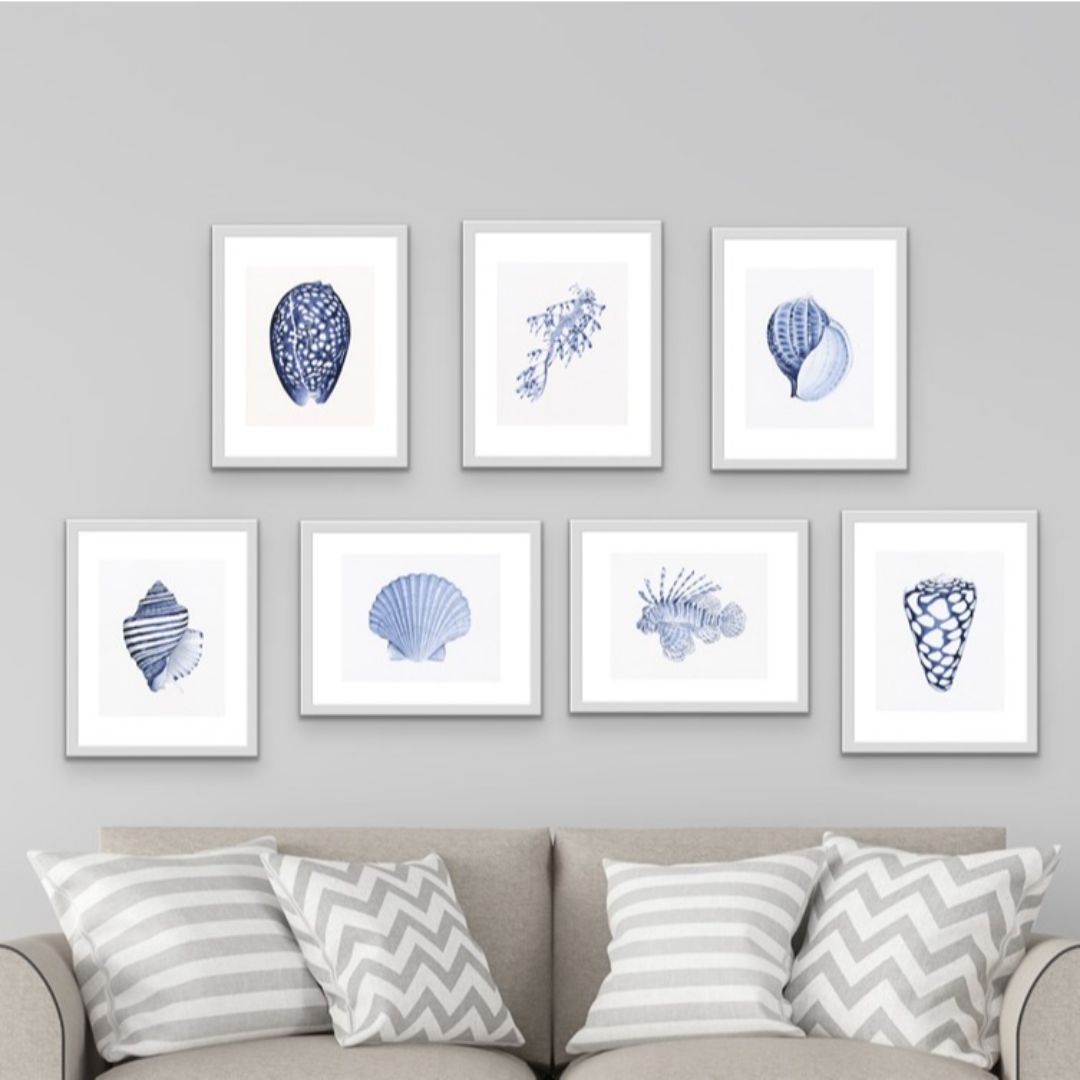 Scallop Shell Blue and White Art Print | Hamptons Home | Hamptons Home